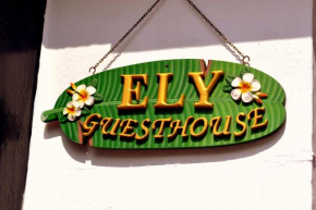 Ely Guest House, Ely